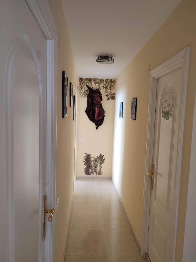 Apartamento En Playa Semi-Privada Benalmadena Exterior photo